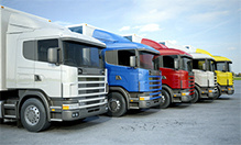 Vehicle transport and logistics services